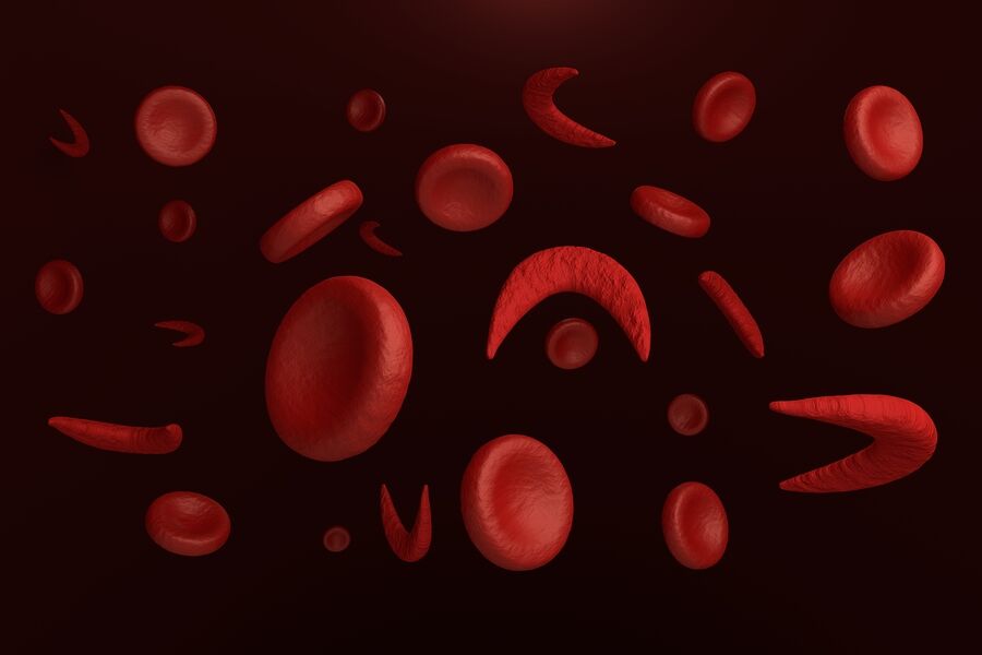 A bunch of blood cells floating in the air