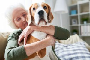 Companion Care at Home in Sewickley, PA