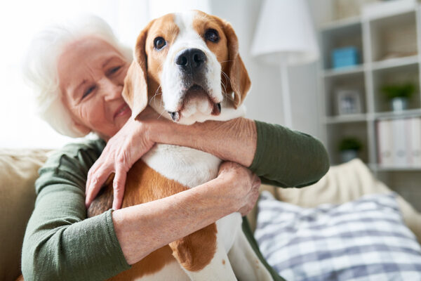 Companion Care at Home in Sewickley, PA